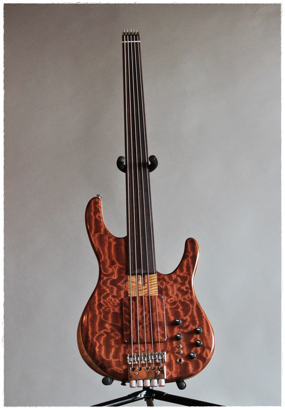 Five string fretless bass hotsell